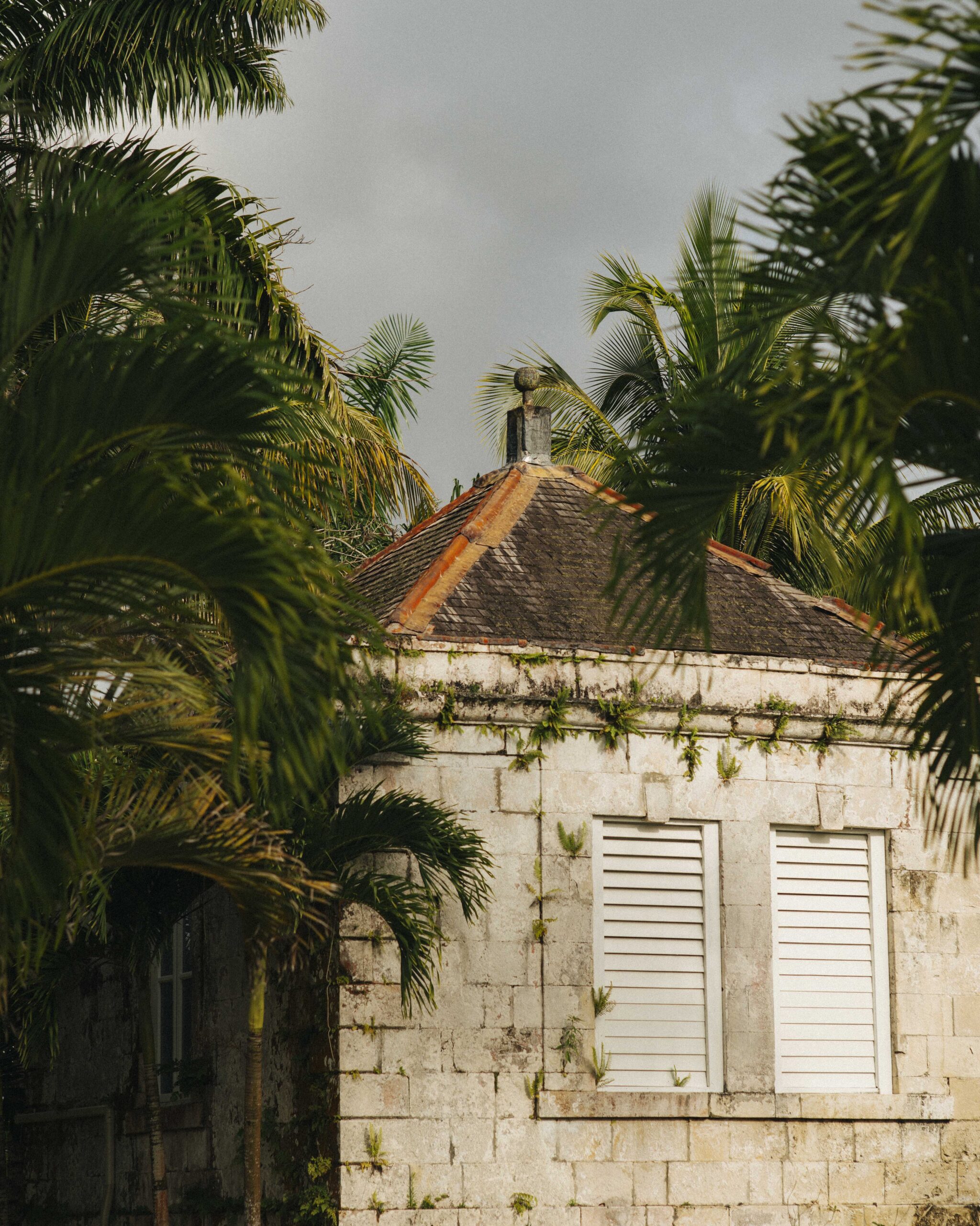 jamaica-3-8-may-2024-beckley-retreats